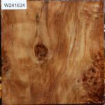 Figured California Cottonwood Bowl Blank