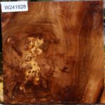 California Cottonwood Burl Bowl Blank