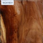 California Cottonwood Bowl Blank