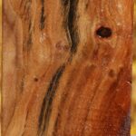 California Cottonwood Turning Square