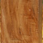 California Cottonwood Turning Square