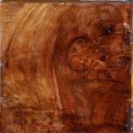 Extra Fancy California Cottonwood Bowl Blank