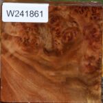 Extra Fancy California Cottonwood Bowl Blank