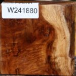 California Cottonwood Bowl Blank