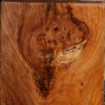 California Cottonwood Burl Bowl Blank