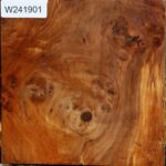 California Cottonwood Burl Bowl Blank