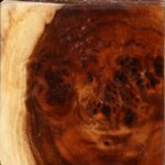 California Cottonwood Burl Bowl Blank