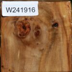 California Cottonwood Bowl Blank