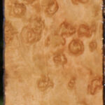 Exhibition Pomelle Eucalyptus Lumber