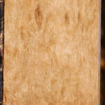 Extra Fancy Pomelle Eucalyptus Lumber