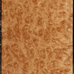 Exhibition Pomelle Eucalyptus Lumber