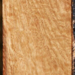 Extra Fancy Pomelle Eucalyptus Lumber