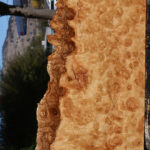 Exhibition Pomelle Eucalyptus Live Edge Lumber