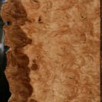 Extra Fancy Pomelle Eucalyptus Live Edge Lumber