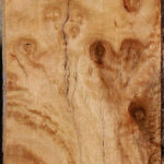 Extra Fancy Pomelle Eucalyptus Lumber