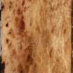 Extra Fancy Pomelle Eucalyptus Lumber