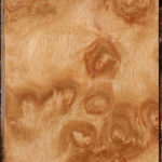 Extra Fancy Pomelle Eucalyptus Lumber