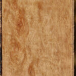 Extra Fancy Pomelle Eucalyptus Lumber