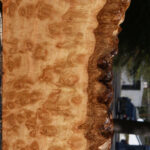 Exhibition Pomelle Eucalyptus Live Edge Lumber
