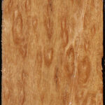 Exhibition Pomelle Eucalyptus Lumber