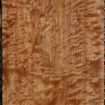 AAAA Quilted Maple Instrument Lumber