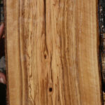 Extra Fancy African Olive Live Edge Lumber
