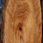 Extra Fancy African Olive Live Edge Lumber