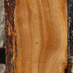 African Olive Live Edge Lumber