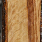 Figured African Olive Live Edge Lumber