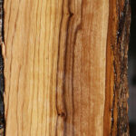 Extra Fancy African Olive Live Edge Lumber