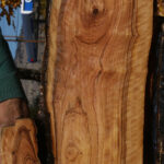 Extra Fancy African Olive Live Edge Lumber