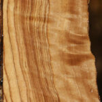 Extra Fancy African Olive Live Edge Lumber