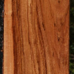 Zambezi Teak Lumber