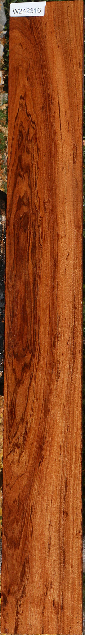 242316_1_b57907be-b679-4321-b5c6-d809074209c2 Zambezi Teak Lumber - Image 1
