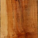 Spalted Maple Vessel Blank