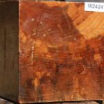 Spalted Maple Bowl Blank