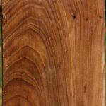 Elm Turning Square