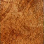 Figured Spalted Maple Vessel Blank