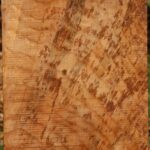 Figured Spalted Maple Vessel Blank