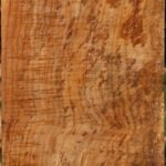 Extra Fancy Spalted Maple Vessel Blank