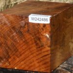 Figured Spalted Maple Vessel Blank