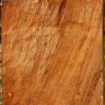 Spalted Maple Vessel Blank