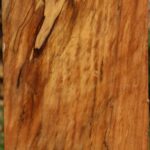 Spalted Maple Vessel Blank