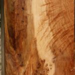 Figured Maple Vessel Blank