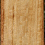 Black Cottonwood Peppermill