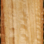 Figured Black Cottonwood Peppermill