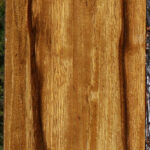 Figured Branquilho Lumber