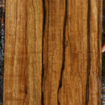 Extra Fancy Branquilho Lumber