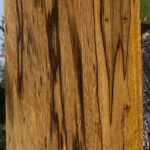 Figured Branquilho Lumber