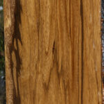 Figured Branquilho Lumber